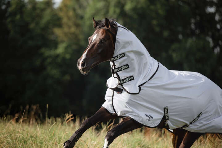 Covalliero Fliegendecke RugBe SuperFly